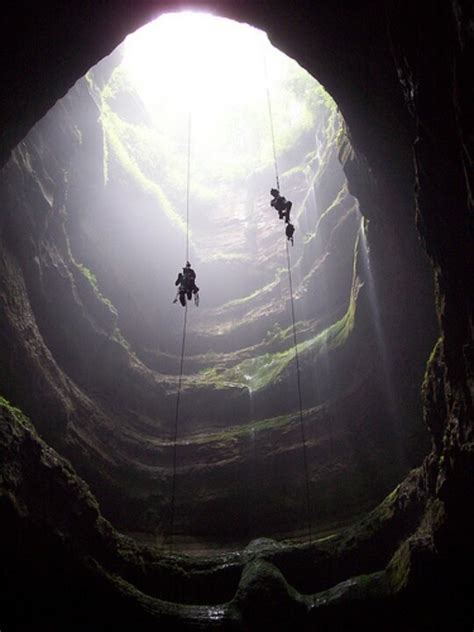 Cueva sima humboldt - EcuRed