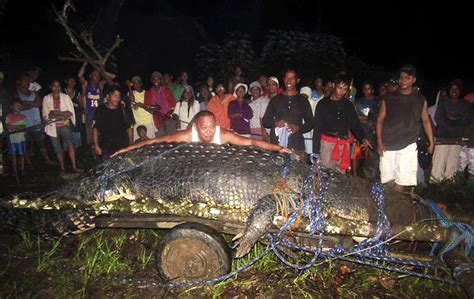 Philippine Crocodile Lolong
