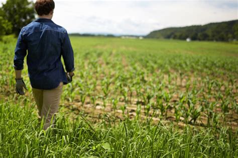 What the American Farm Can Teach Business Leaders About 'Sowing' Success