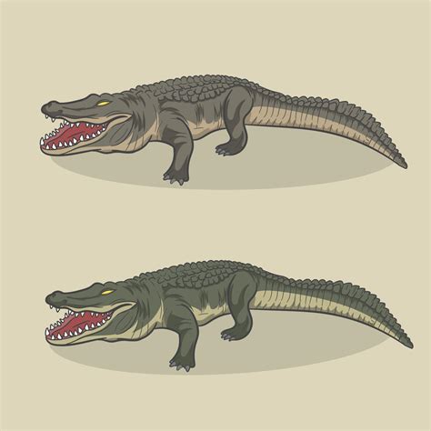 Alligator Vector illustration 5476910 Vector Art at Vecteezy