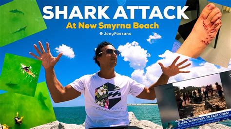 [最も選択された] new smyrna beach florida shark attacks 2021 109251-Is new ...