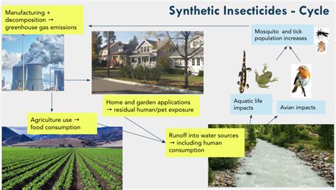 Environmental Impacts of Synthetic Chemical Application - Dara Scientific