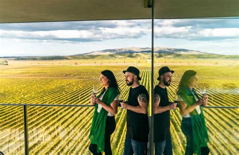 10 Best Wineries in Blenheim - NZ Pocket Guide