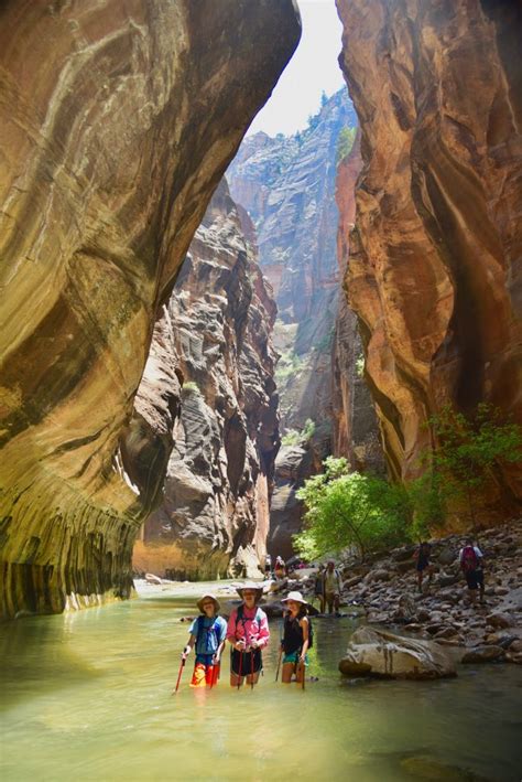 The Narrows - Zion National Park - wiscohana