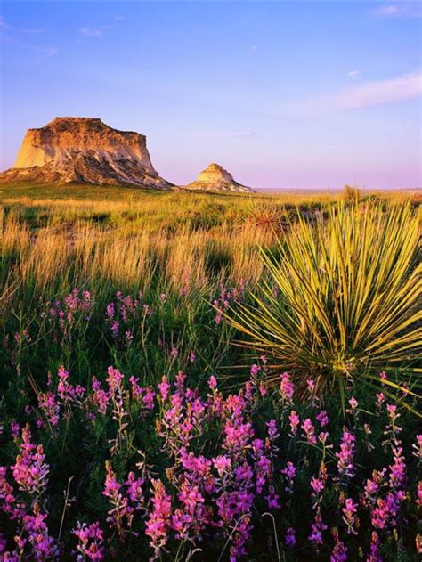 Wild in Weld County, Colorado in 2024 | Nature adventure, Colorado, Nature