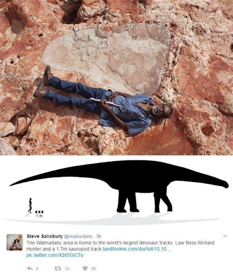 daily timewaster: Largest dinosaur footprint ever discovered is in ...