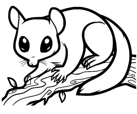 Possum Coloring Pages Printable for Free Download