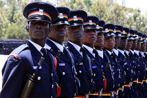 Haiti mission to cost Kenya Sh36bn in a year as MPs poke holes in deployment | Nation