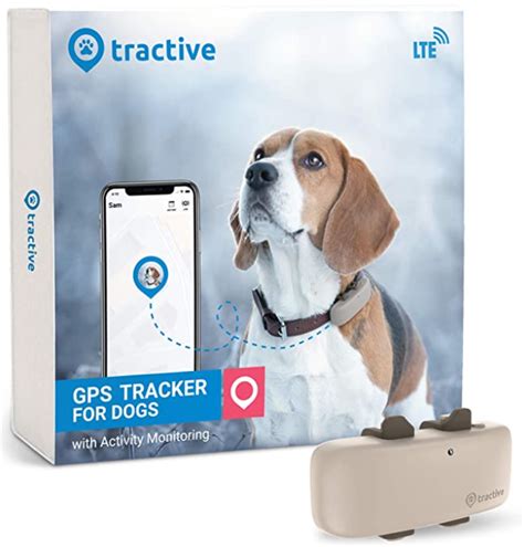 What Is The Best Dog GPS Tracker? (Popular Products of 2020) | Herepup