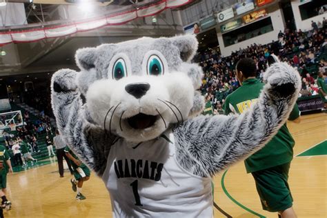 Baxter - Daily Photo: Feb 19 2010 - Binghamton University