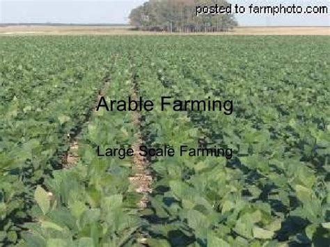 Arable Farmingpowerpoint[1]