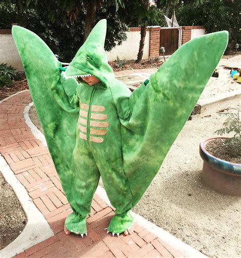 Pterodactyl costume. Flying dinosaur costume. | Dinosaur halloween costume, Kids dinosaur ...