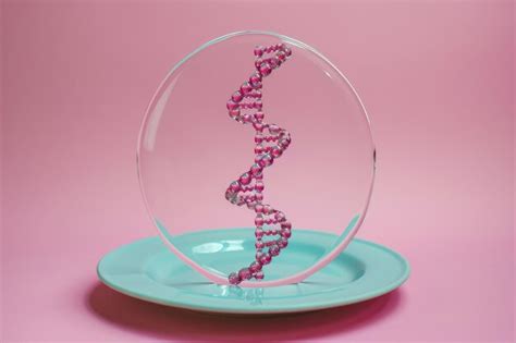 Premium Photo | DNA model isolated on white background DNA souvenir