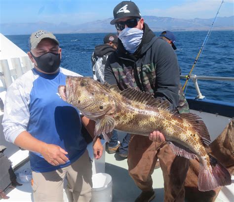 Morro Bay Landing Rockfish Showdown won by 24-pound lingcod | Western ...