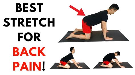 Stretching Exercises For Back Pain Relief – Online degrees