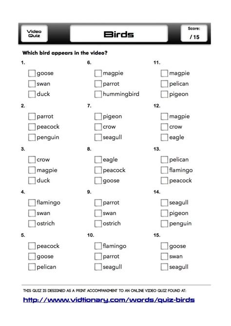 Quiz: Birds – Vidtionary: A Video Dictionary