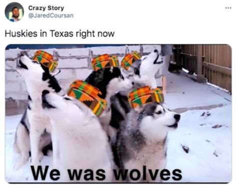 46 Memes About Texas And Snow - Gallery | eBaum's World