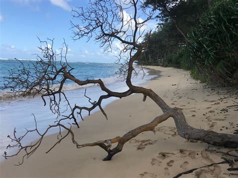 Beach Maps