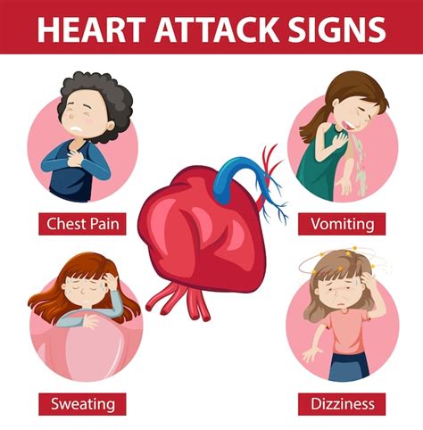 Free Vector | Heart attack symptoms or warning signs infographic