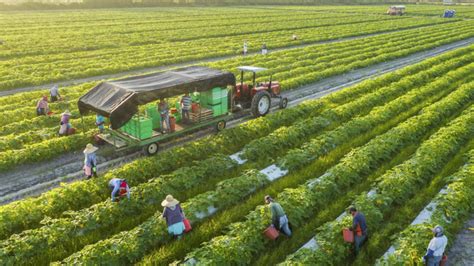 Tiềm năng ngành nông nghiệp rất lớn nhưng vẫn khó thu hút đầu tư - Nhịp ...