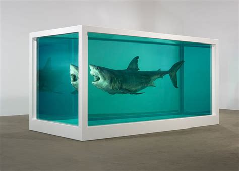 HD wallpaper: Shark, formalin, Damien Hirst, The physical impossibility of death in soznanii ...