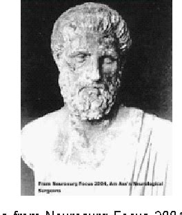 Figure 1 from The Neurology of Erasistratus | Semantic Scholar