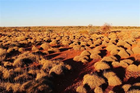 Multi-billion-dollar potential for WA's carbon farming industry