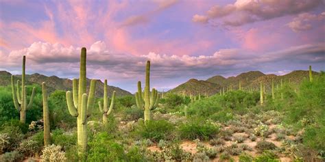 tucson-desert_1600x800 ⋆ Habitat for Humanity Tucson