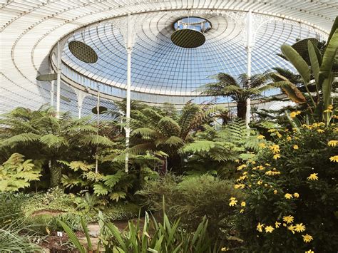 The Kibble Palace at Glasgow Botanic Gardens — FOR ALL THINGS CREATIVE