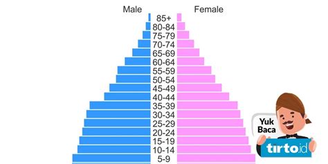 Apa Saja Jenis Piramida Penduduk dan Contohnya?