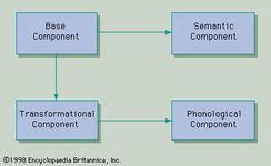 Transformational grammar | Britannica.com