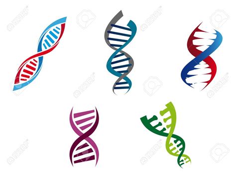 Cartoon illustration of colourful DNA strands with their coiled helical structure of genetic ...