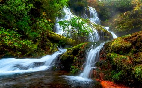 Natural Beauty Panther Creek Falls Columbia River District Skamejnija Washington Usa Hd ...