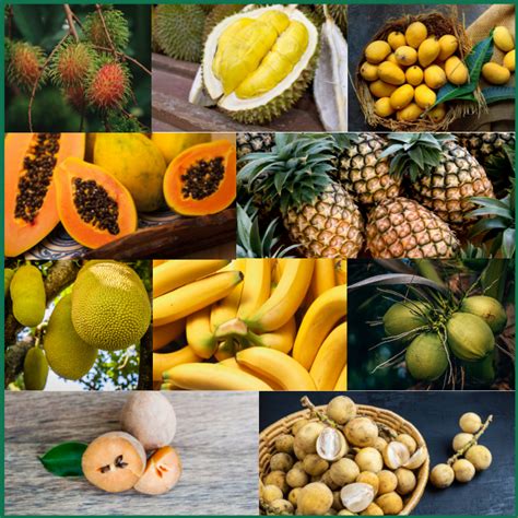 The Different Types of Fruit Bearing Plants in the Philippines