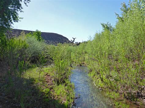 The river corridor: Santa Clara River Reserve, Utah