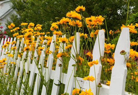 Beautiful White Fence Landscaping Ideas - Garden Lovers Club