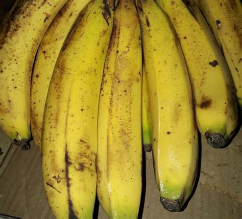 Grand Nain Banana at Rs 10000/ton | Halflong | ID: 17654492930