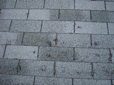 How to Identify Hail Damage on Your Roof & Shingles | Roof Maxx