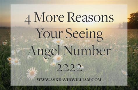 Angel Numbers 2222 — David William Psychic Medium