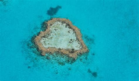 Why we fell in love with Heart Reef | Australian Traveller