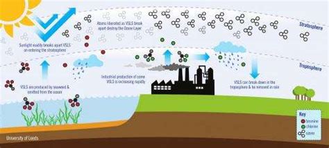 New ozone-destroying gases on the rise