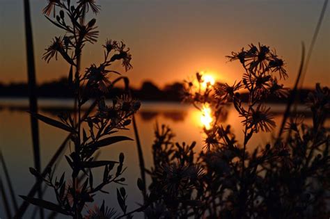 Sunrise over Lake Tampier | Sunrise, Celestial, Lake