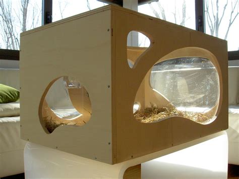 the dandy #gerbil 's home by hollegha arquitectos | Arquitectos