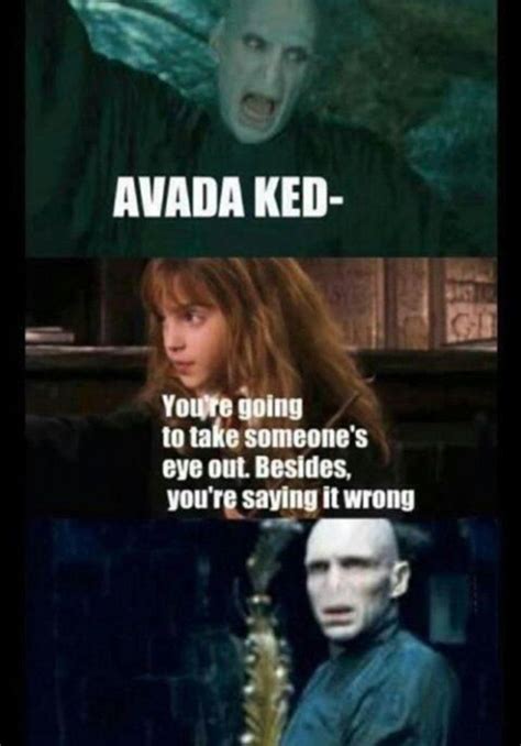 10 Harry Potter Memes That Prove Harry And Hermione Were True BFFs | Harry potter funny, Harry ...