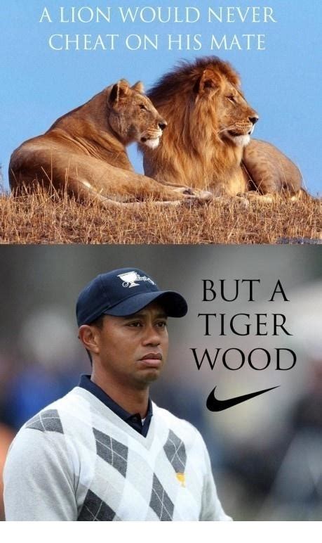 Tiger Woods | Funny Pictures, Quotes, Pics, Photos, Images. Videos of Really Very Cute animals.