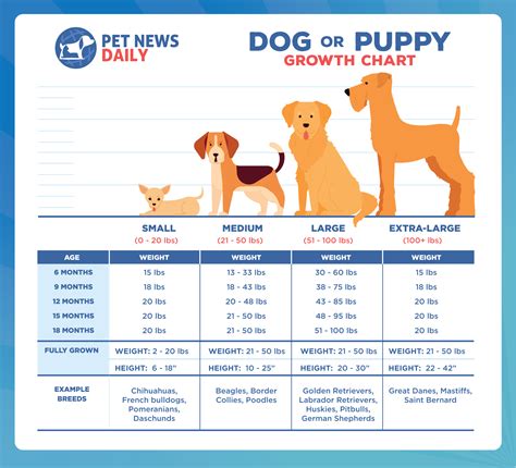 Dog (or Puppy) Growth Chart: How Big Will Your Puppy Get? - Pet News Daily