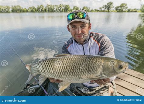 Amur Fishing. Fisherman with Grass Carp Fish in Hands at Lake Stock Photo - Image of outdoor ...