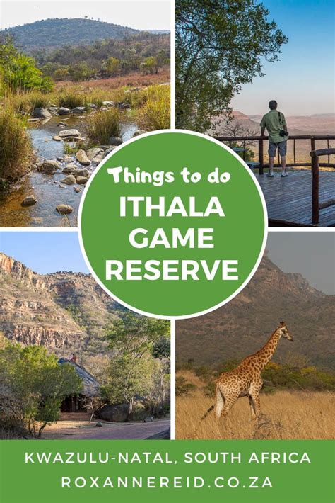 Things to do at Ithala Game Reserve, South Africa in 2020 | South africa travel, Africa travel ...