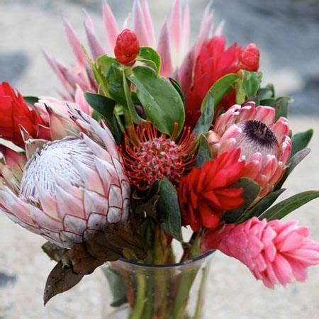 Mixed Protea Bouquet | Tropical wedding flowers, Protea bouquet, Ginger flower