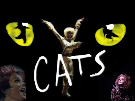 Andrew Lloyd Webber’s musical Cats is the second longest running show on Broadway | Daily Cat Facts